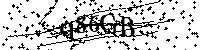 Digita le lettere e numeri qui sotto