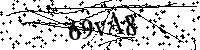 Digita le lettere e numeri qui sotto