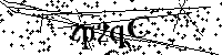 Digita le lettere e numeri qui sotto