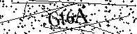 Digita le lettere e numeri qui sotto