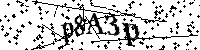 Digita le lettere e numeri qui sotto