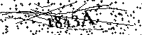 Digita le lettere e numeri qui sotto