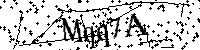 Digita le lettere e numeri qui sotto